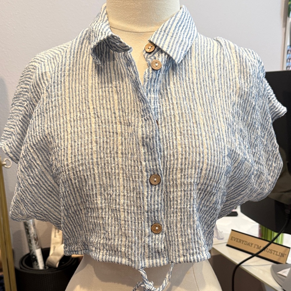Zara Blue and White Striped Button-Down Crop Top
